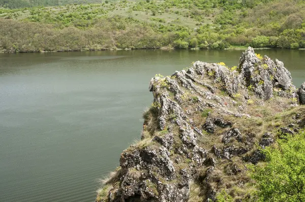 Moss rocas en el fondo del lago —  Fotos de Stock