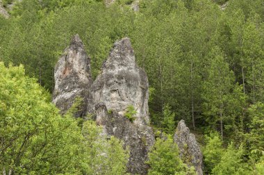 Dağlarda aşınmış kaya 