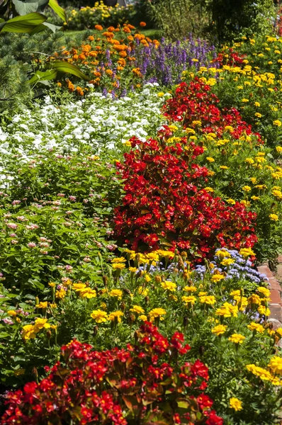 Colorful flower bed Royalty Free Stock Images