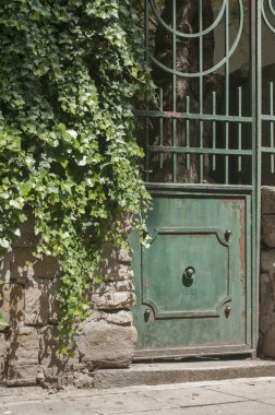 Eski model eskimiş metal, yeşil bahçe kapısı.