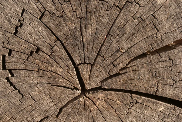 Antiguo Corte Superficie Del Árbol Envejecido Primer Plano Como Fondo — Foto de Stock