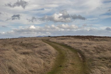Sonbahar manzarası olarak kırsal ve kuru çayırlarda kırsal yol