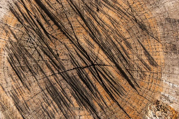 Stare Wyciąć Starą Powierzchnię Drzewa Zbliżenie Jako Drewniane Tło — Zdjęcie stockowe