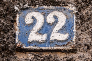 Eski püskü dökme demir plaka. 22 numara yakın plan.