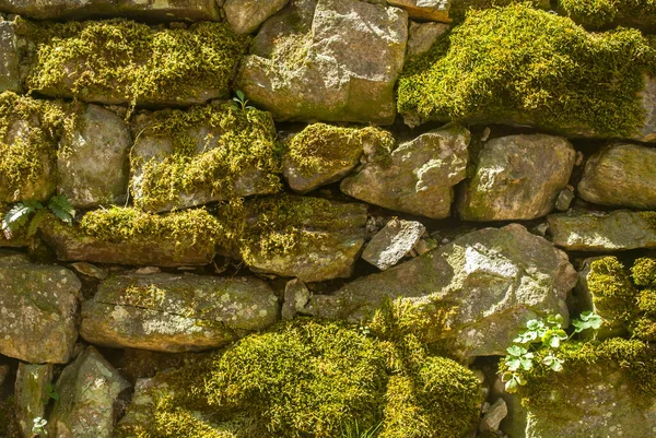 Каменная Стена Свежим Зеленым Мохом Каменном Фоне — стоковое фото