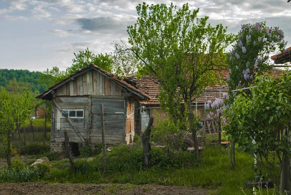 Старый Деревянный Сарай Сельской Деревне Двор Весной — стоковое фото