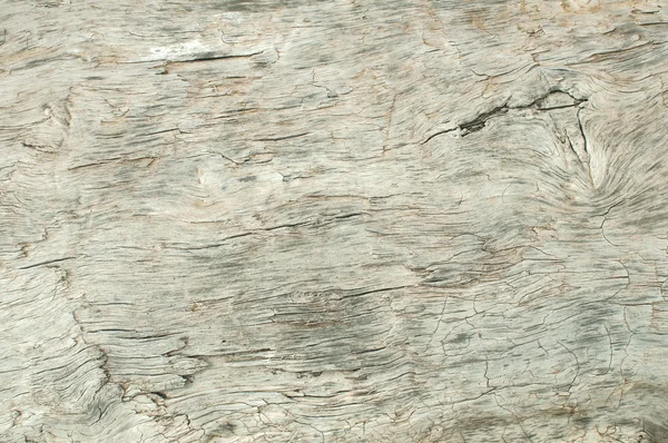 Superficie de madera seca erosionada — Foto de Stock