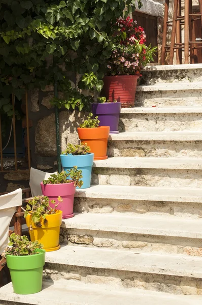 Scala con vasi da fiori colorati — Foto Stock