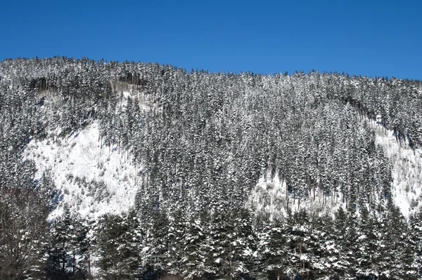 Inverno nevado paisagem — Fotografia de Stock