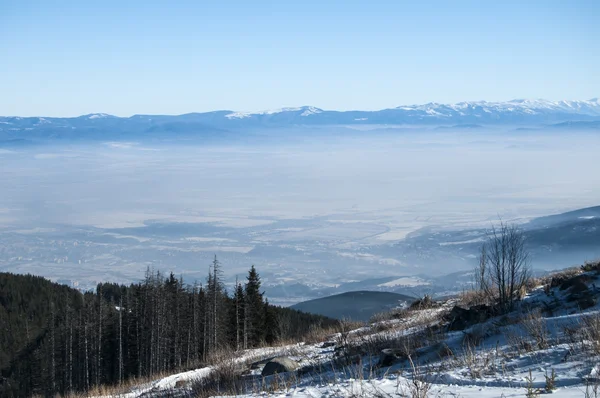 Зимний панорамный пейзаж — стоковое фото