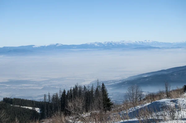 Kış panoramik manzarası — Stok fotoğraf