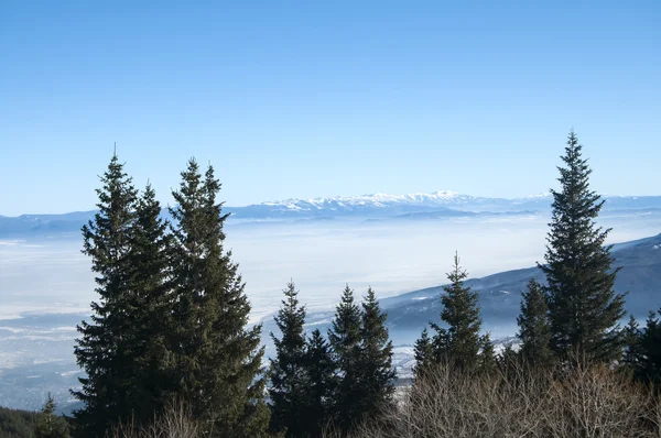 Panoramautsikt över vinterlandskap — Stockfoto