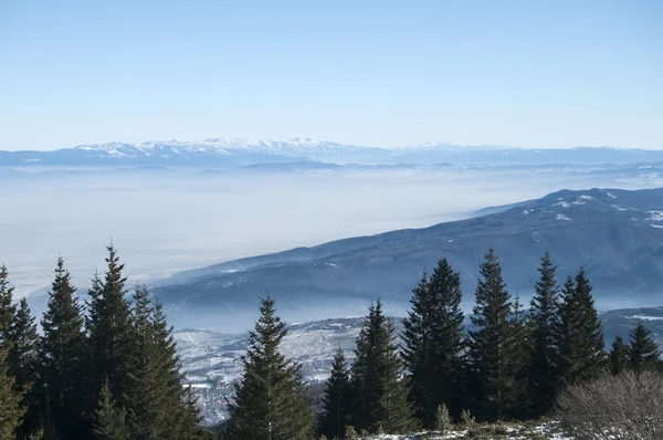 Kış panoramik manzarası — Stok fotoğraf