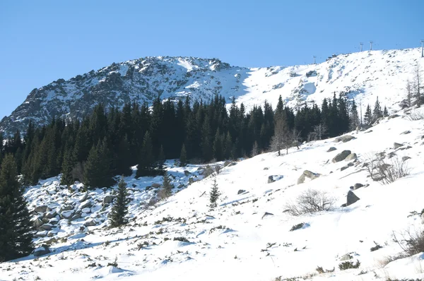 Снежный горный хребет с лесом — стоковое фото