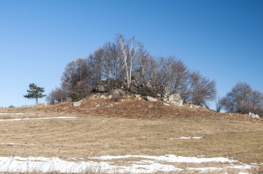 Dağ tepe kayalar ve ağaçlar