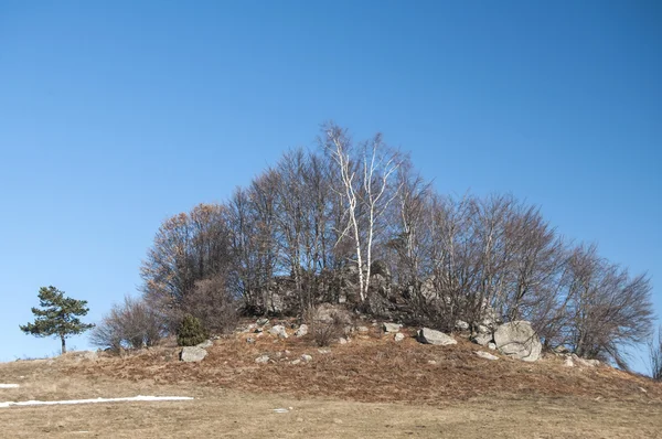 Mountain hill with rocks and trees — Stock Photo, Image