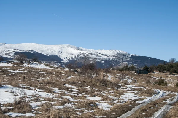 Kırsal yolu olan kış manzarası — Stok fotoğraf