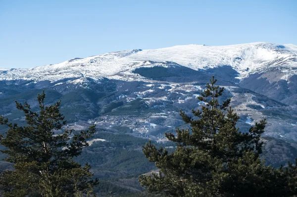 Kış panoramik manzarası — Stok fotoğraf