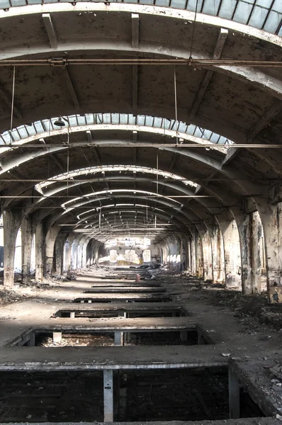 Oude verlaten spoorweg plant — Stockfoto