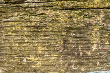 Eski yıpranmış grunge ahşap tahta