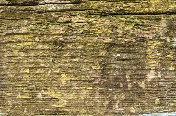 Tablero de madera grunge envejecido viejo — Foto de Stock