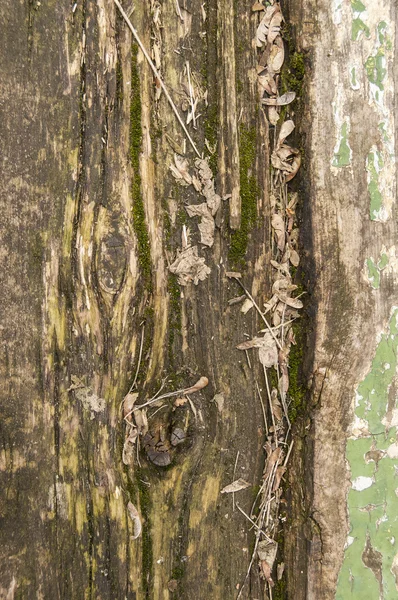 오래 된 풍 화 그런 지 나무 보드 — 스톡 사진