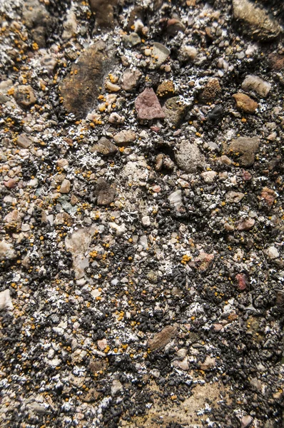 Старий бетонний полюс крупним планом — стокове фото