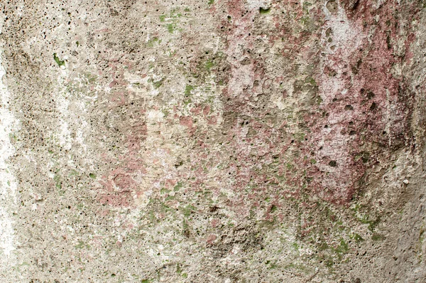 Weathered grunge concrete surface — 스톡 사진