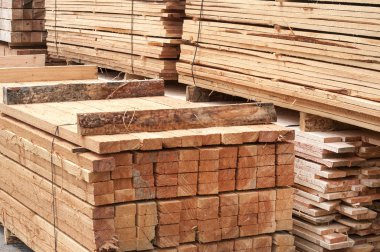 Çam esnek kadar esnek