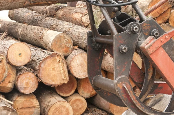 Baumstämme und Holzbearbeitungsmaschine — Stockfoto