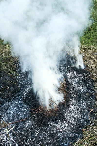 Fumée provenant de la combustion d'herbe sèche — Photo