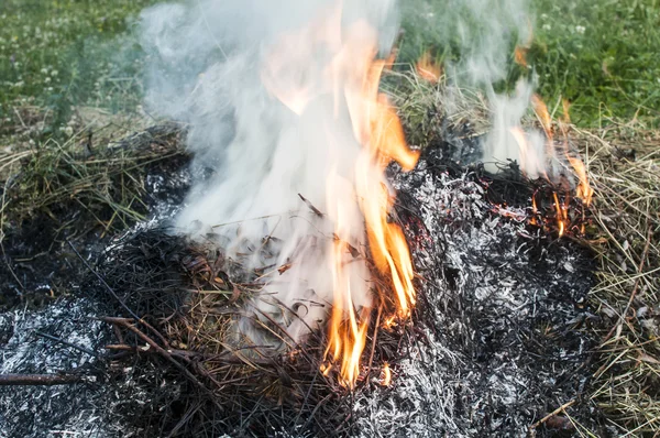 Fumée provenant de la combustion d'herbe sèche — Photo