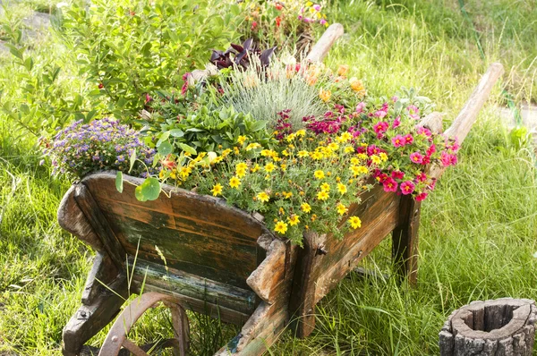 Trä gården kärra med blommor — Stockfoto