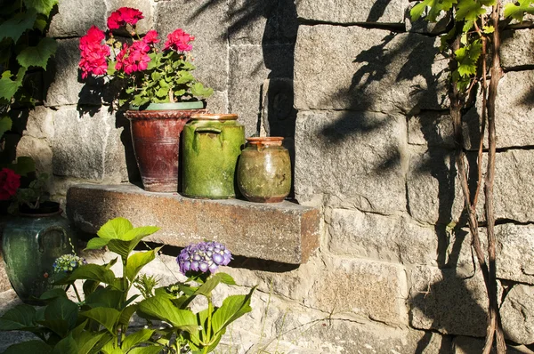 Clay pots with flowers on stonewall — Stock Photo, Image