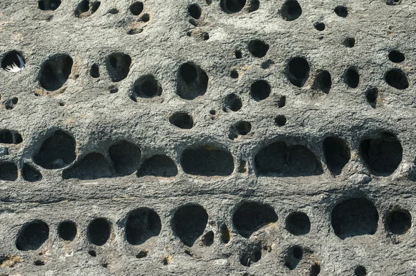 Primo piano della superficie rocciosa marina — Foto Stock