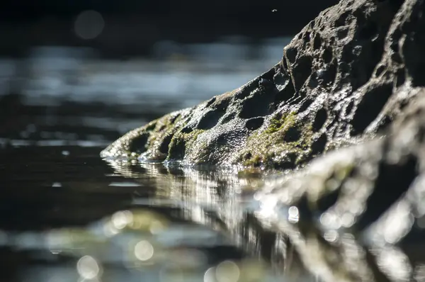 Sea rock closeup — Stock Photo, Image