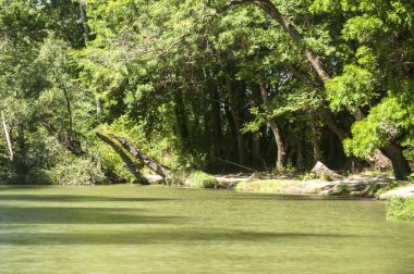 Verdure ile büyümüş nehir