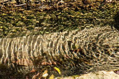 Clear, fresh spring water flowing into an old rustic stone trough in a sunny, quiet forest setting.