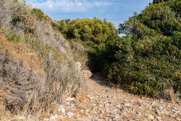 A remote pebble path winds through dry Mediterranean shrubs on a quiet, sun-drenched day