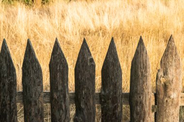 Sıcak akşam güneşiyle aydınlatılan kırsal çitler yumuşak altın tonlarıyla doğal bir kırsal atmosfer yaratıyor.