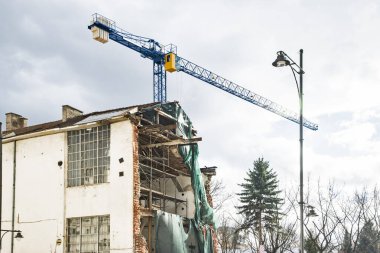 Açık havada güneşli bir arabanın kaputunda uzanan siyah kedi, rahat ve tetikte.