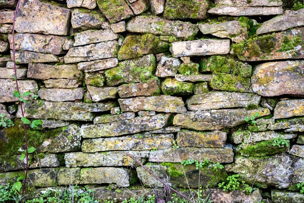 Doğal yosun, kış ışığında taş duvar dokusunu, tasarım, ekolojik ve organik kavramlar için kırsal arka planı kaplamıştır.