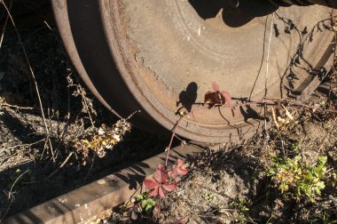 Eski Demiryolu tekerlek ve demiryolu