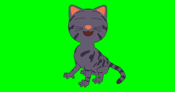 Κινούμενη Γάτα Emoji Γέλιο Γάτα Καρτούν Γελάει Πράσινο Κλειδί Chroma — Αρχείο Βίντεο