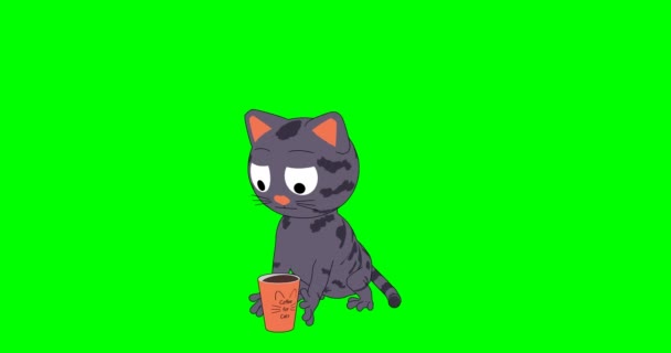 Animált Macska Kávéval Rajzfilmes Macska Egy Pohárból Issza Kávét Zöld — Stock videók