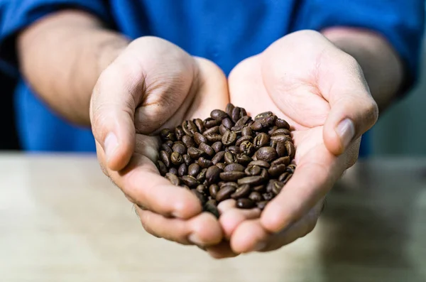 Frisch geröstete Kaffeebohnen in den Händen. — Stockfoto