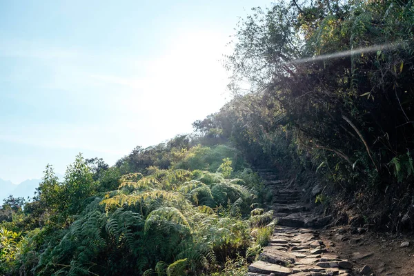 Passos e caminhos de pedra na trilha de salkantay, caminho alternativo para Machu Picchu. — Fotografia de Stock
