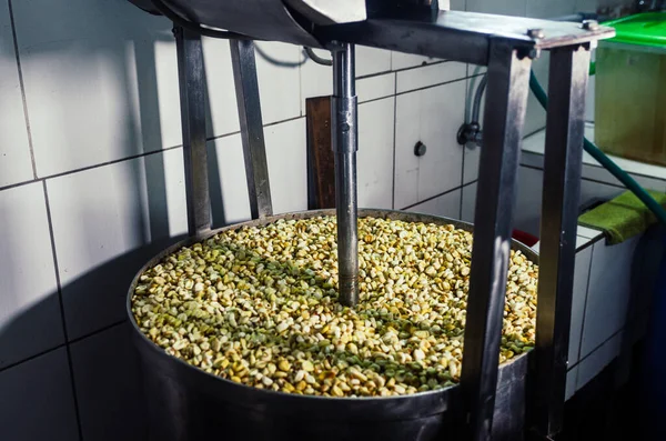 Preparation of the traditional Peruvian corn tamal, industrial corn peeler.