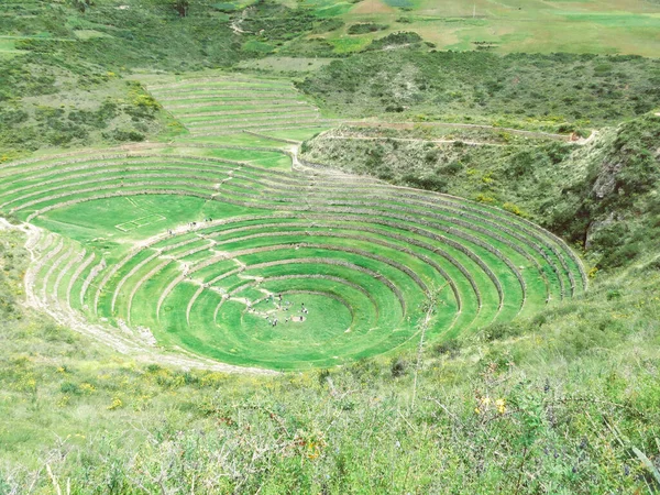 Kutsal Vadi 'de tarımsal teraslar. Cuzco 'da Moray, Kutsal Vadi, Peru. — Stok fotoğraf