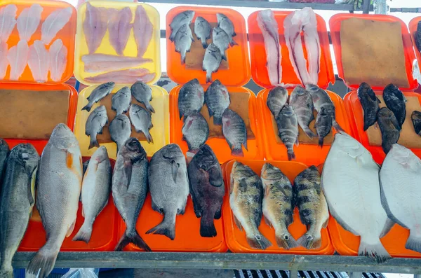 Färgrik färsk tropisk fisk på marknaden i Lima, Peru. — Stockfoto